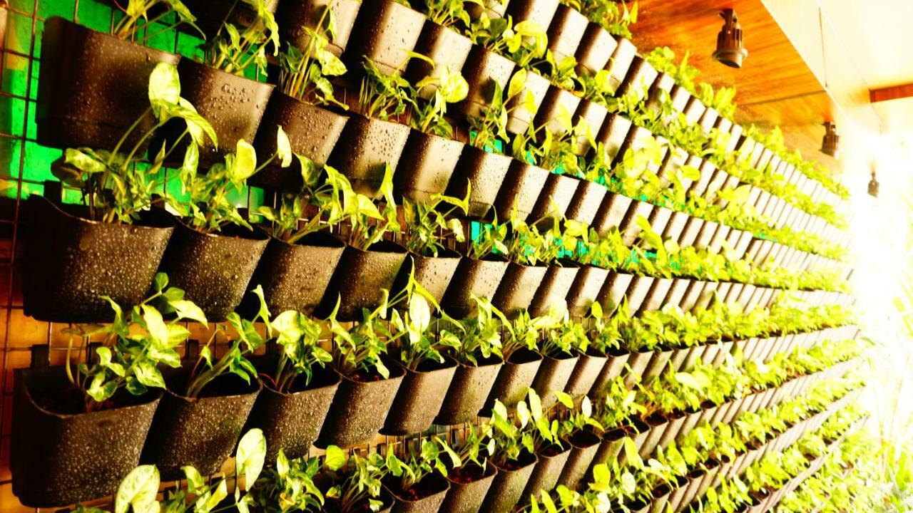 Thayamkery'S Royal Inn Kochi Buitenkant foto